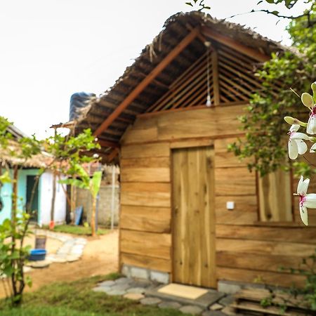 Lemon Tree Hostel Baie d'Arugam Extérieur photo