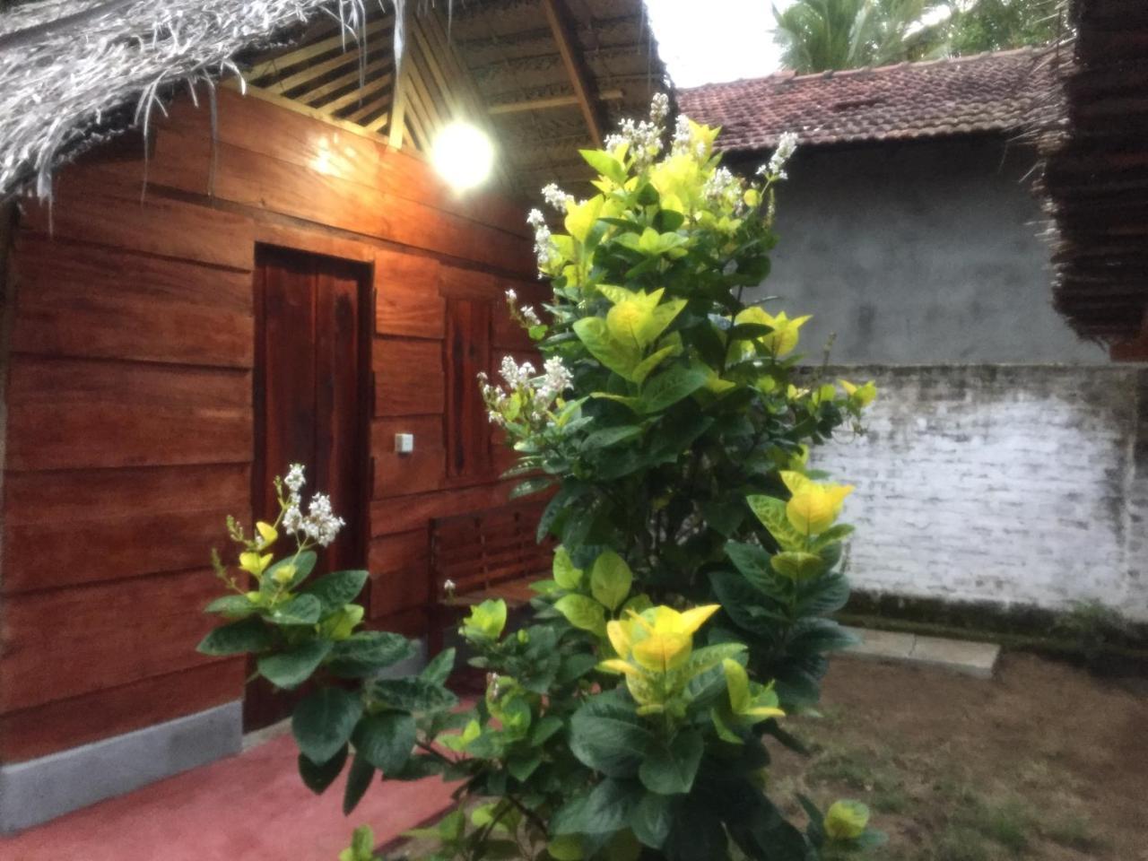 Lemon Tree Hostel Baie d'Arugam Extérieur photo